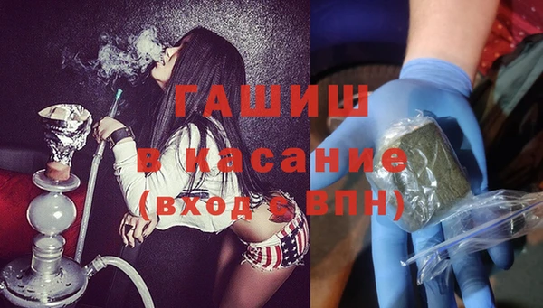 шишки Лабытнанги