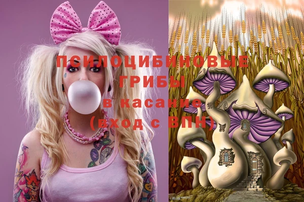 ALPHA PVP Алзамай