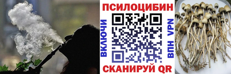 Псилоцибиновые грибы Psilocybe  закладки  Бобров 
